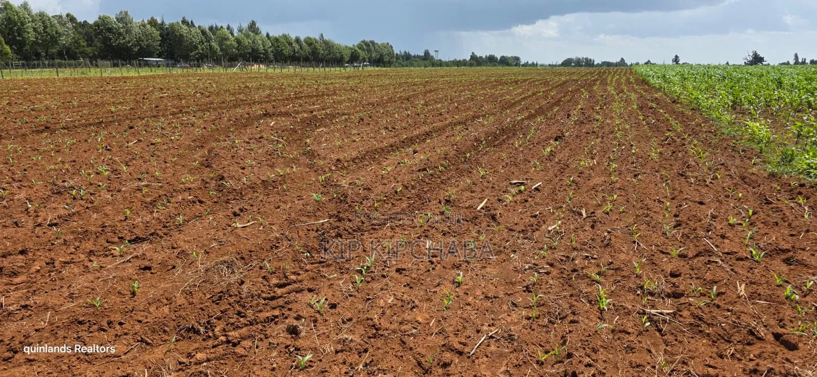 Prime 2 Acres for Sale Illula L8mo Eldoret in Illula