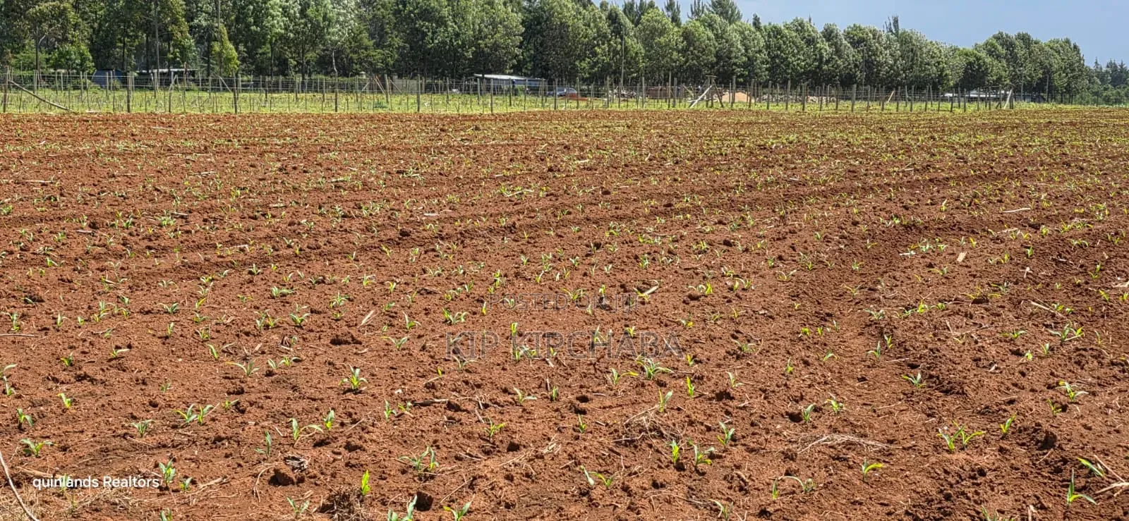 Prime 2 Acres for Sale Illula L8mo Eldoret in Illula