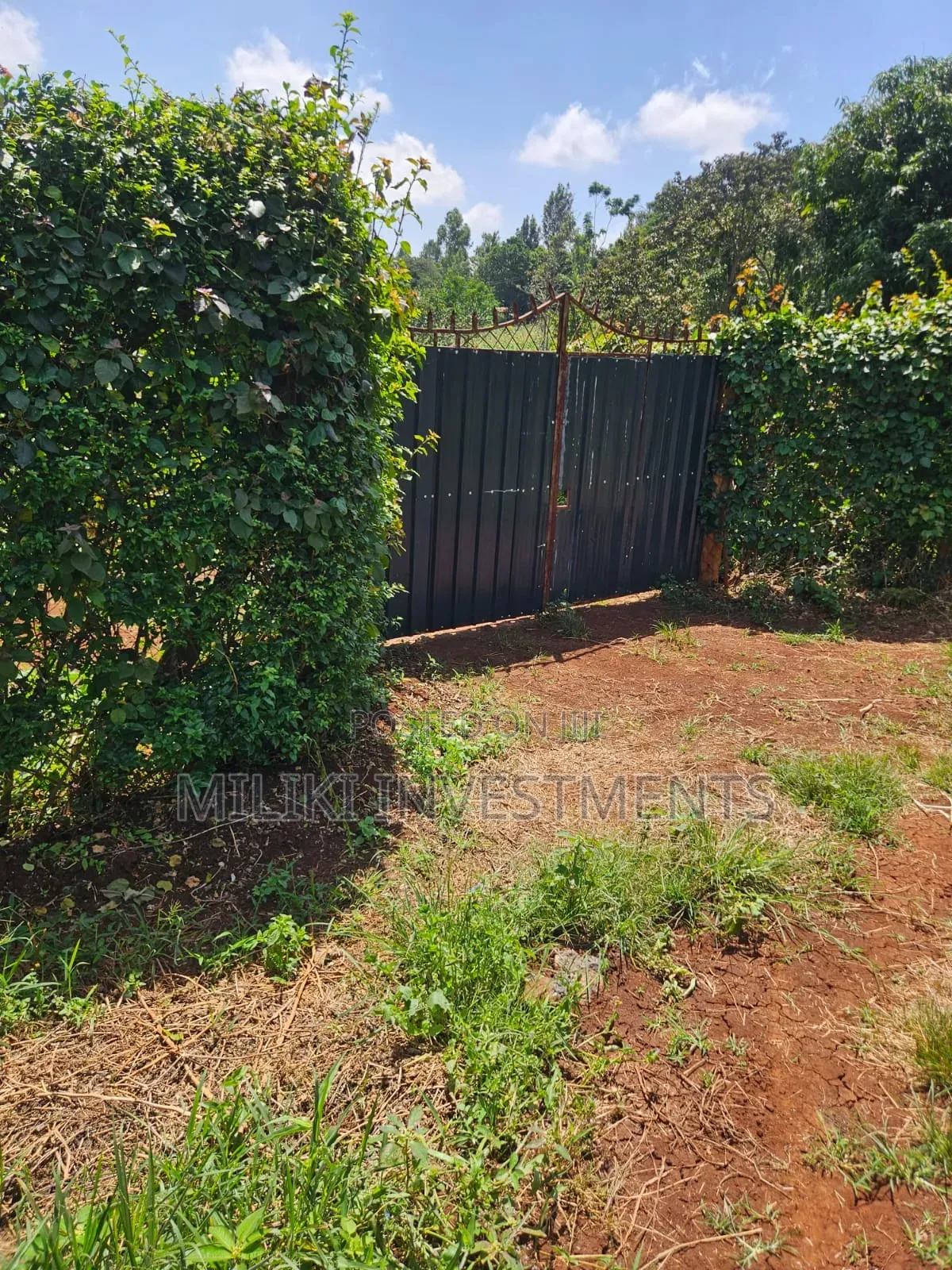 Half an Acre on Sale at Kenol-Kagaa in Kimorori/Wempa