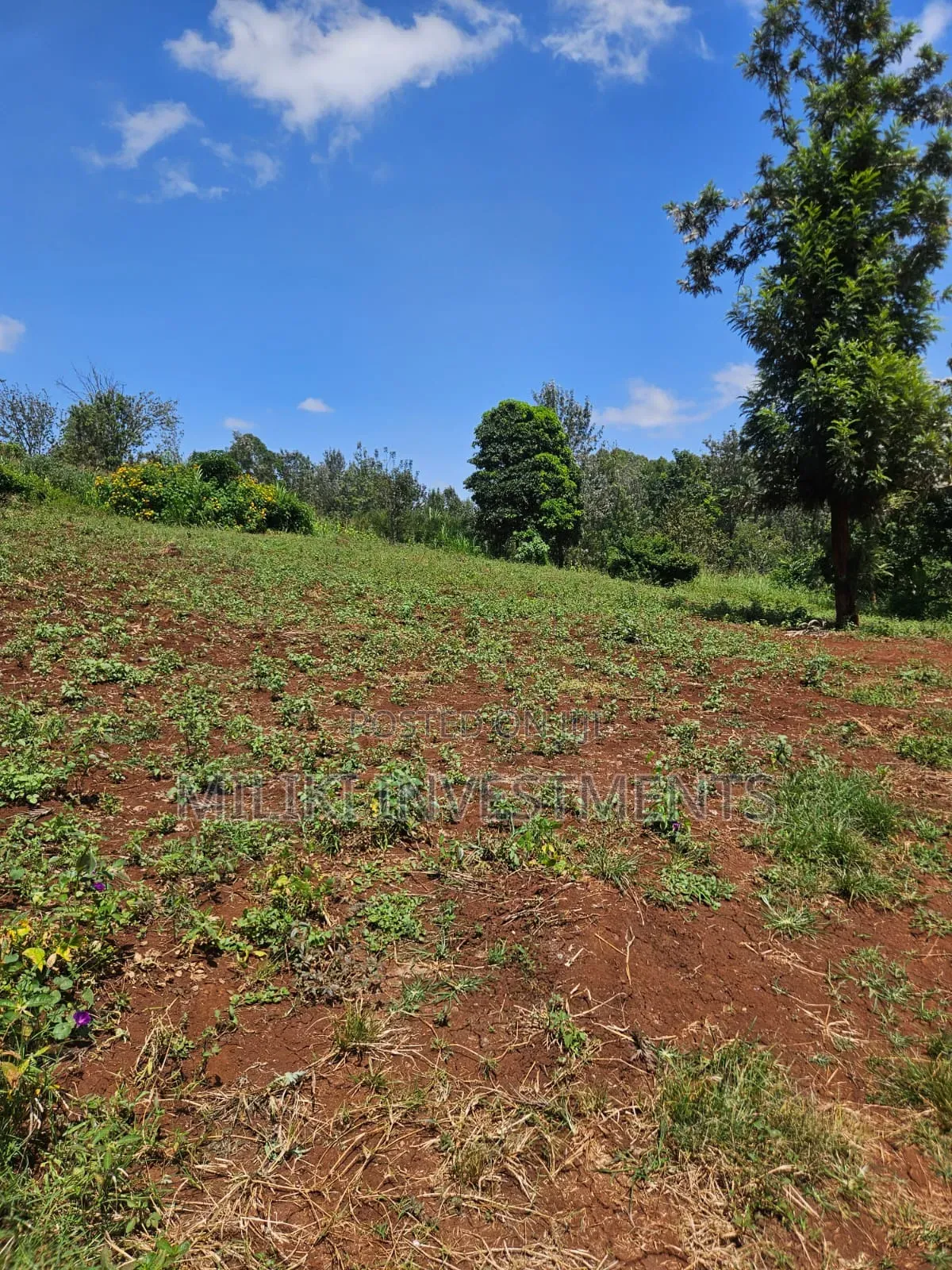 Half an Acre on Sale at Kenol-Kagaa in Kimorori/Wempa