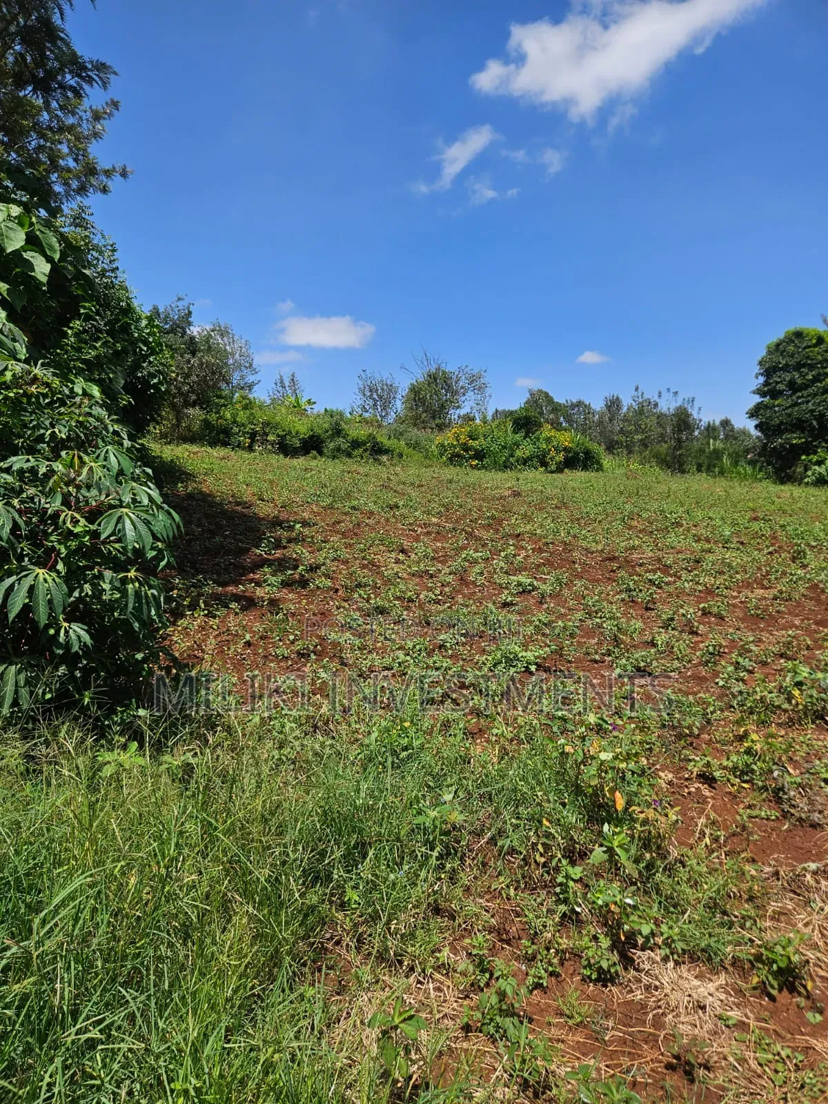 Half an Acre on Sale at Kenol-Kagaa in Kimorori/Wempa
