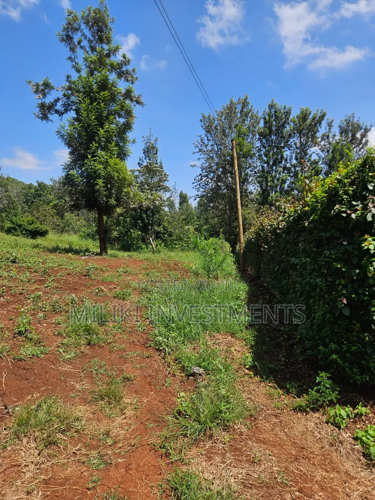 Half an Acre on Sale at Kenol-Kagaa in Kimorori/Wempa
