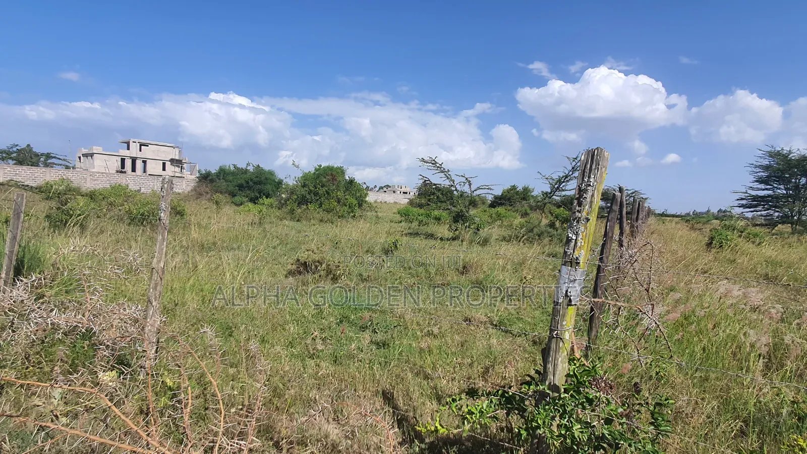 Prime 1 Acre Touching Olpajeta Main Road in Nanyuki
