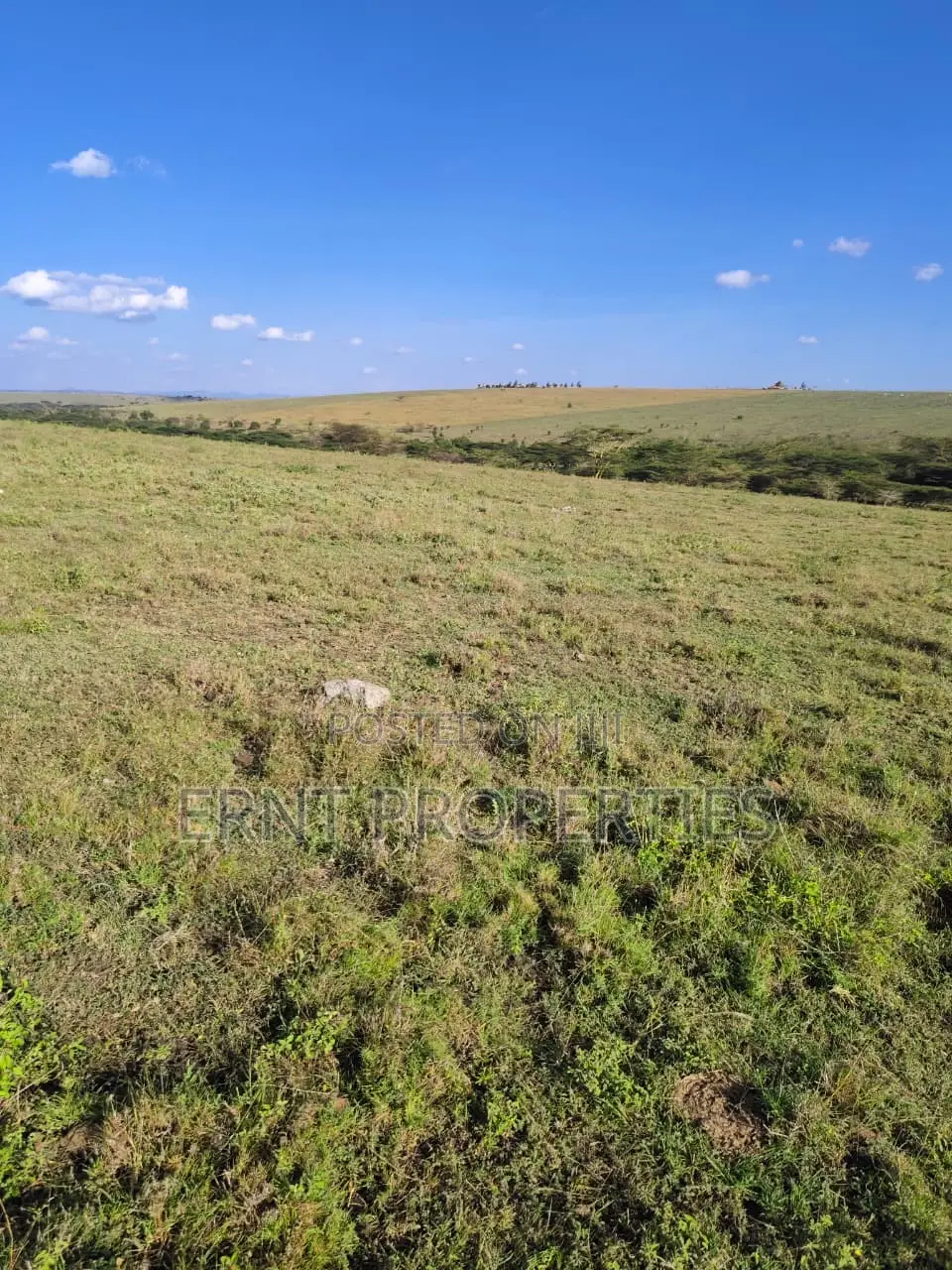 35 Acres for Sale in Inkiito in Namanga