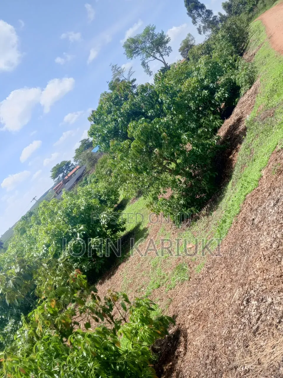 460 Acres of Land in Nakuru With Ready Hass Ovacados 150 Acres Mature in Salgaa
