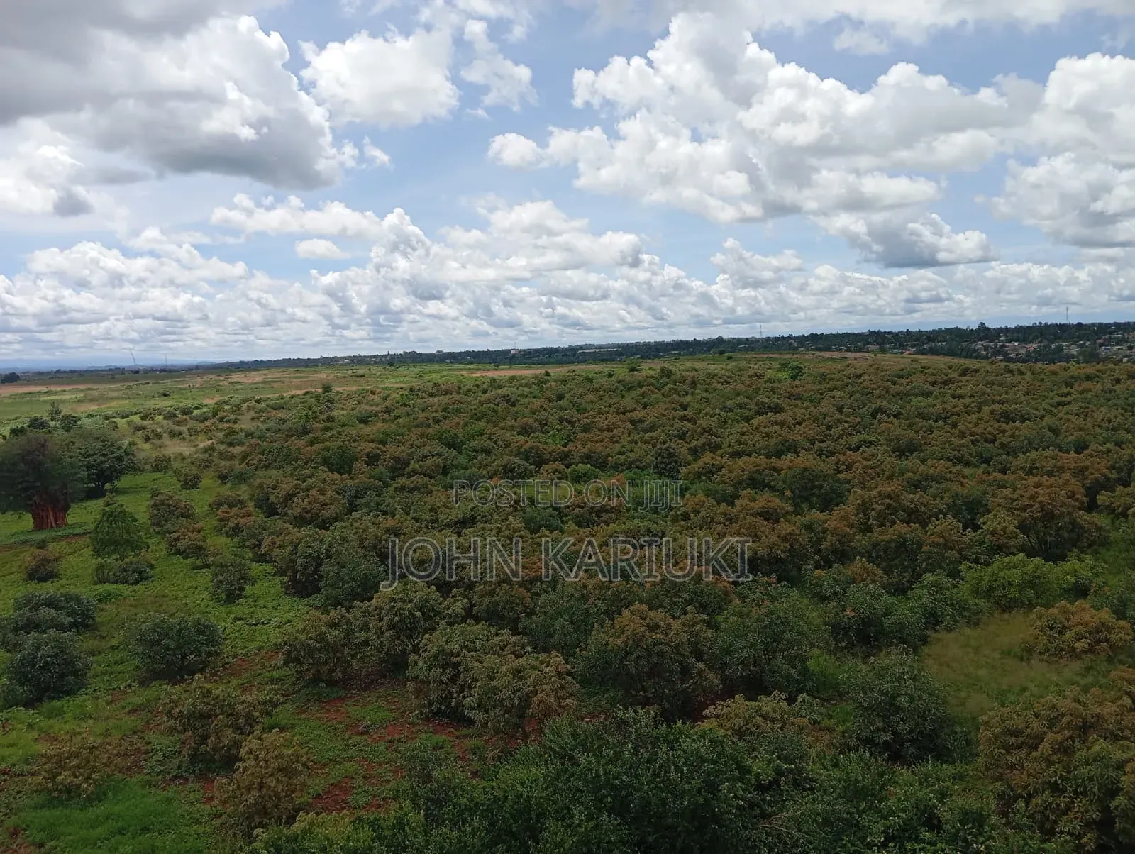 A 225 Acres Land With:- Avocado Plantation in Muranga Covering 170 A in Gatanga
