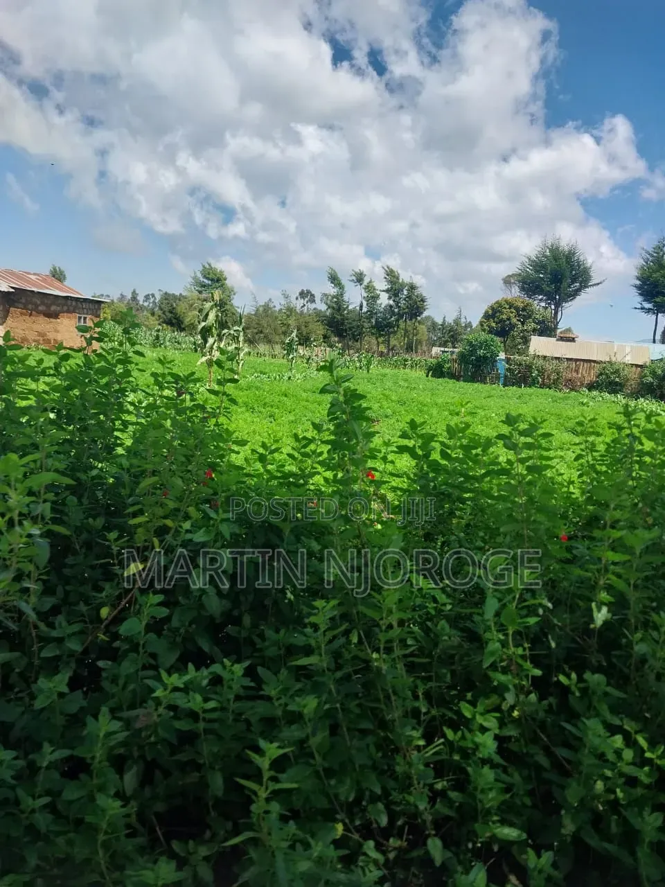1⁄2 Acre Heni, South Kinangop Off Njabini/ Fryover Rd in Magumu
