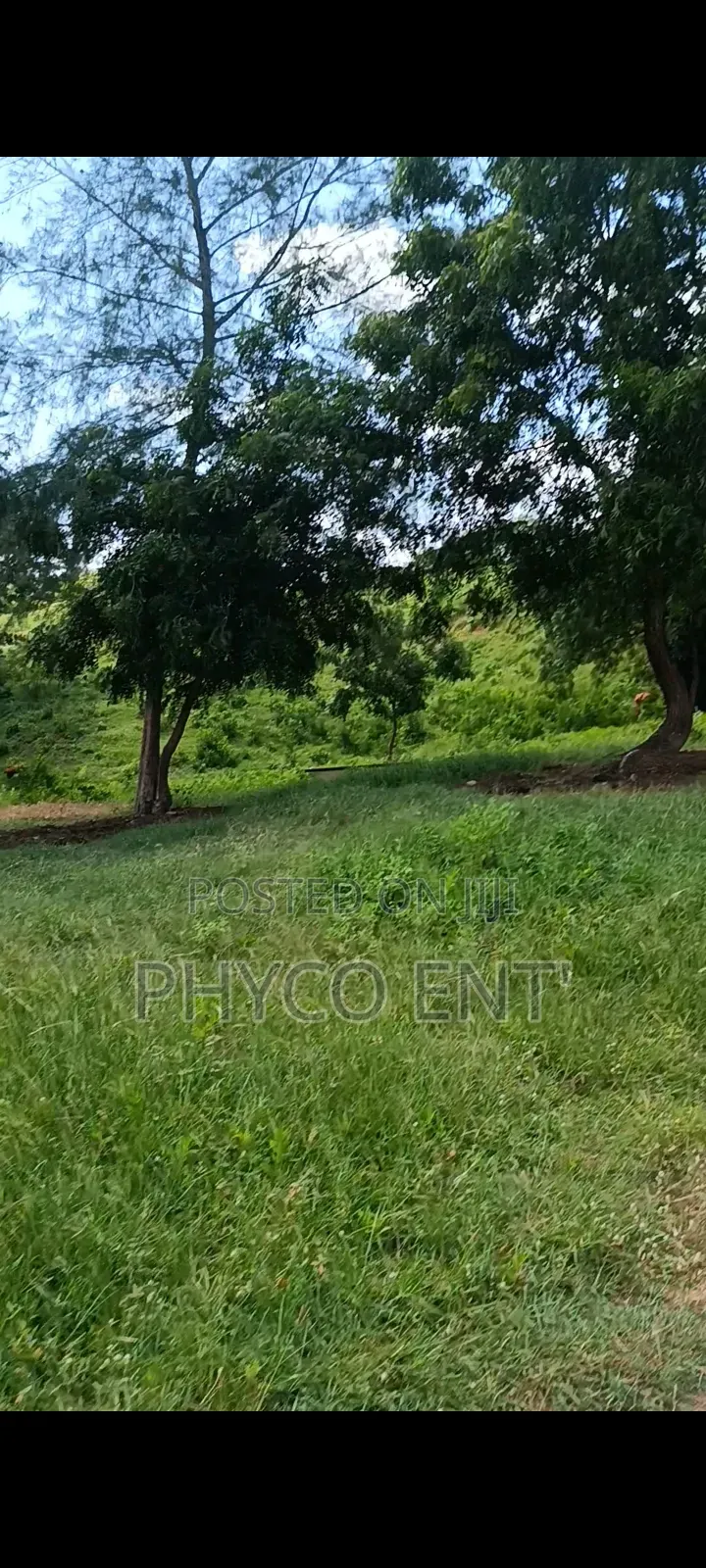 11acre Land for Sale in Vipingo