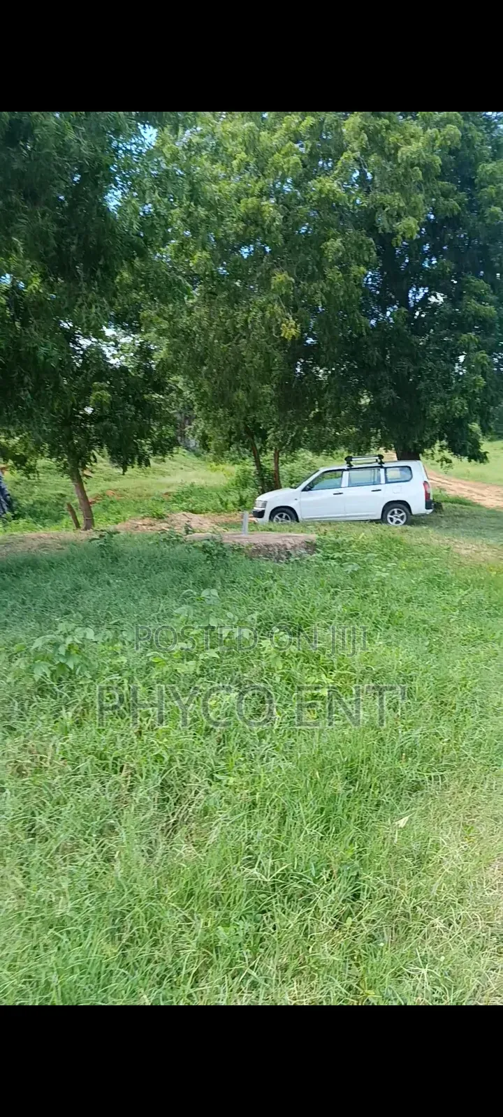 11acre Land for Sale in Vipingo