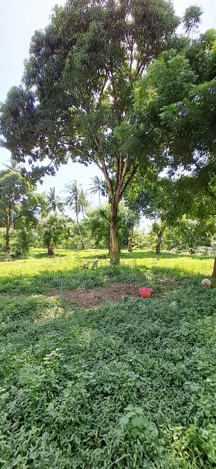 For Sale 1/8 Acre Plots Gated Mtwapa in Mtwapa