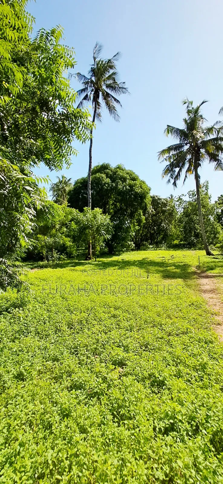 For Sale 1/8 Acre Plots Gated Mtwapa in Mtwapa