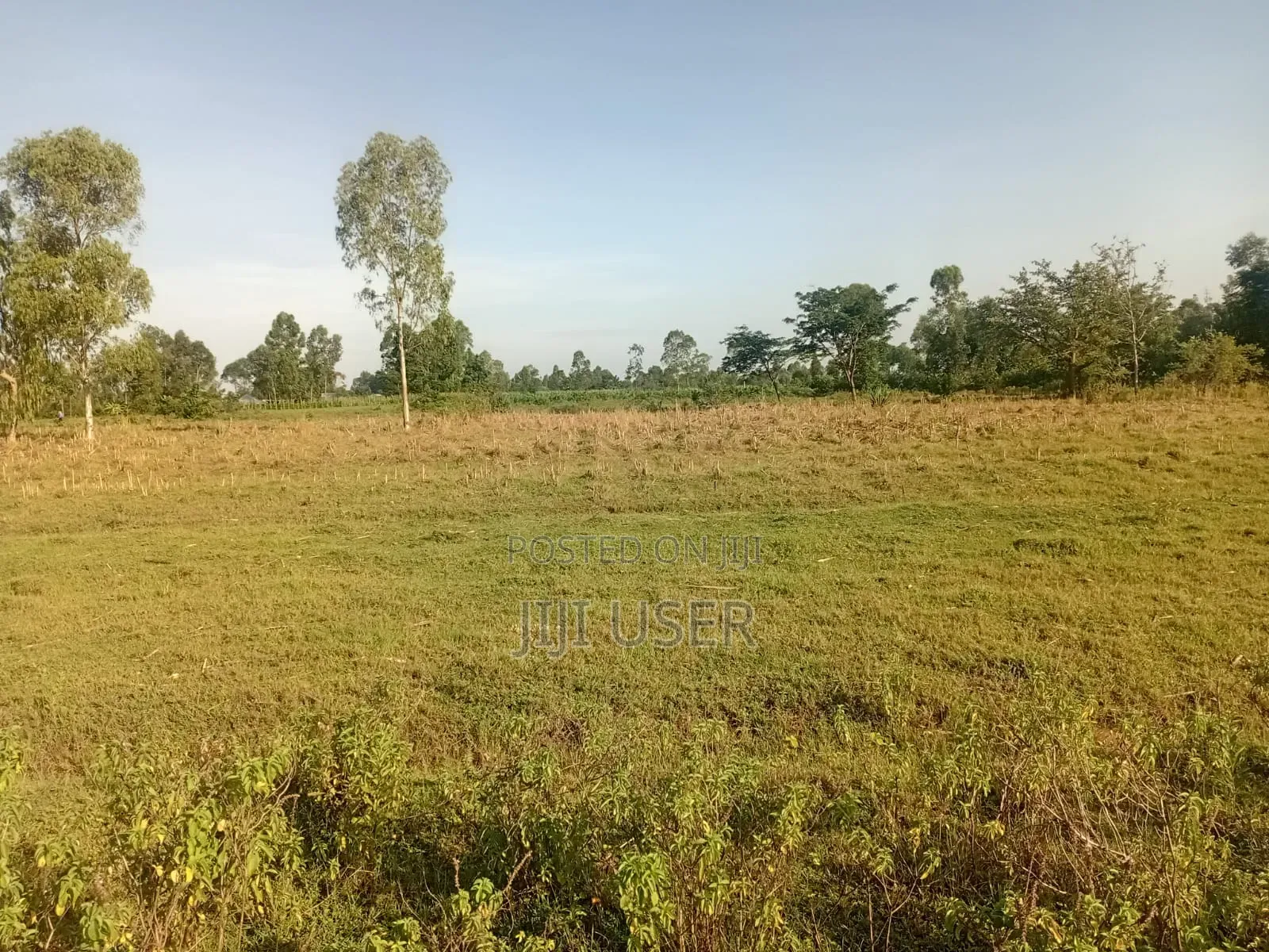 9 Acres Ta Ndori Area Homa Bay in Homa Bay Central