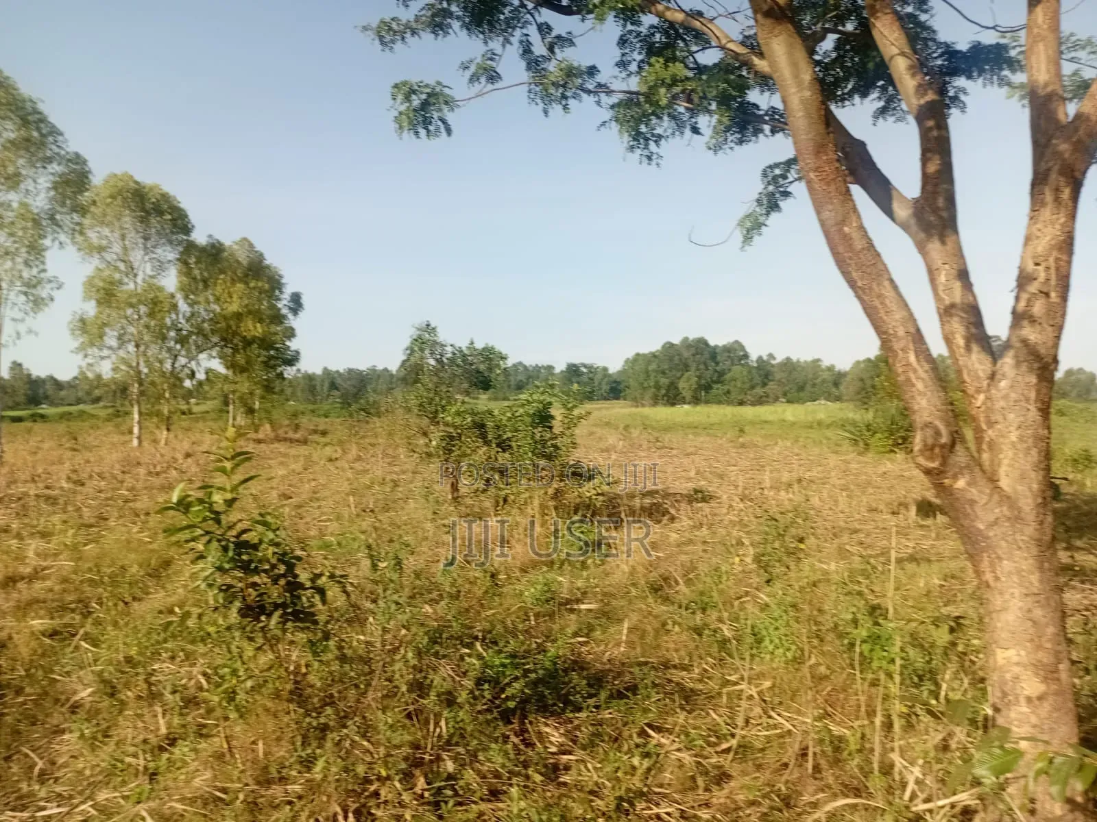 9 Acres Ta Ndori Area Homa Bay in Homa Bay Central
