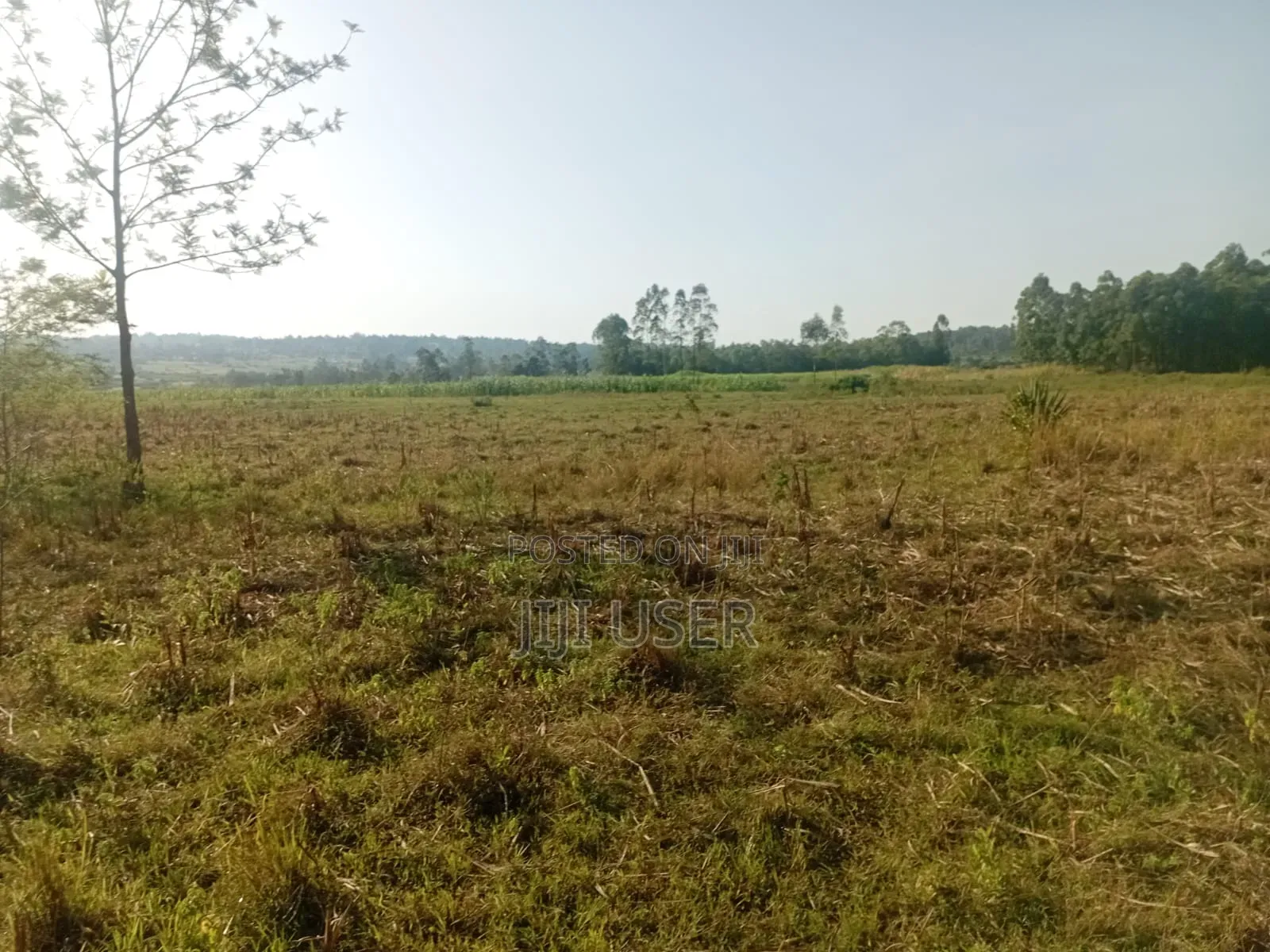 9 Acres Ta Ndori Area Homa Bay in Homa Bay Central