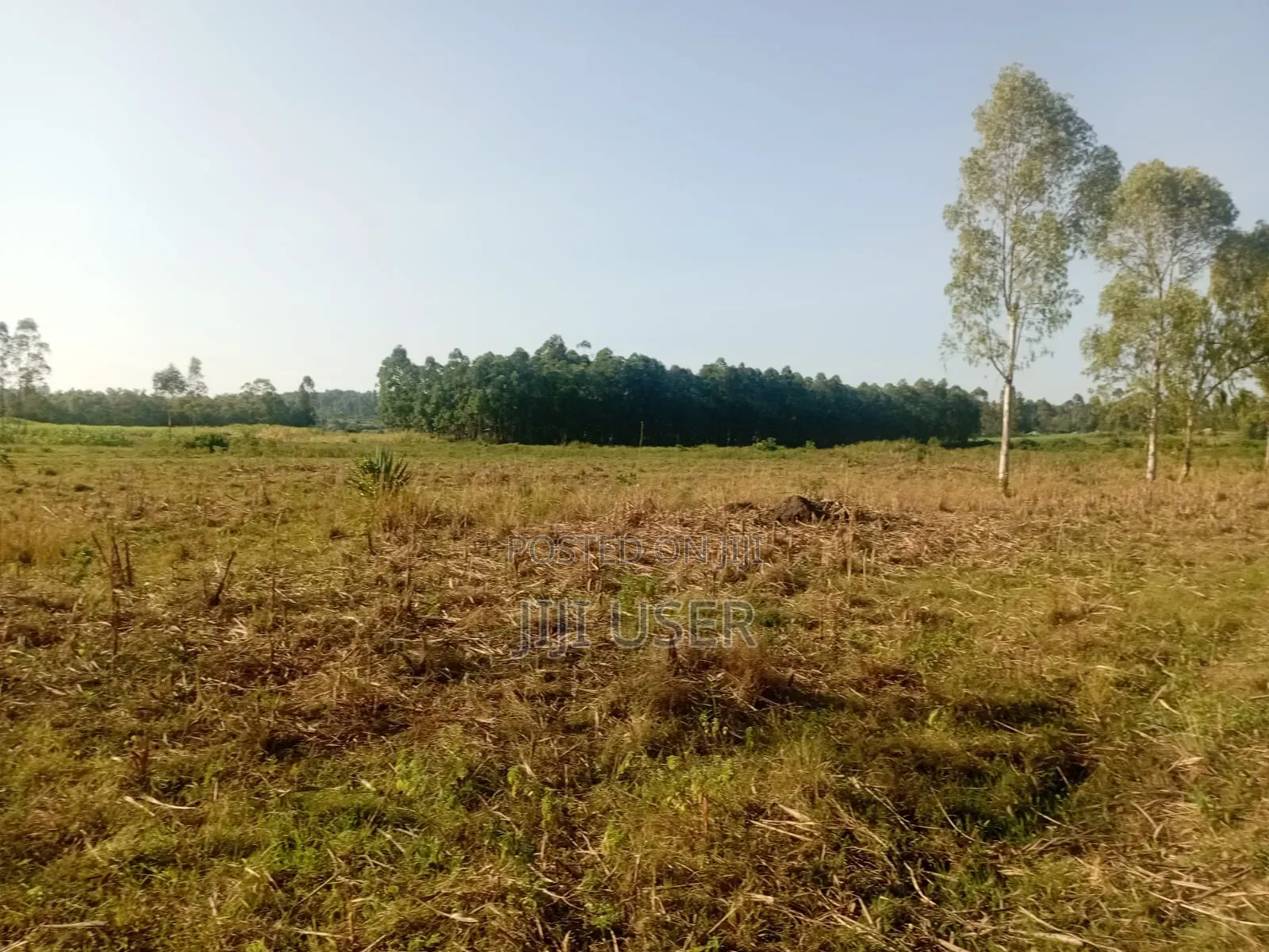 9 Acres Ta Ndori Area Homa Bay in Homa Bay Central