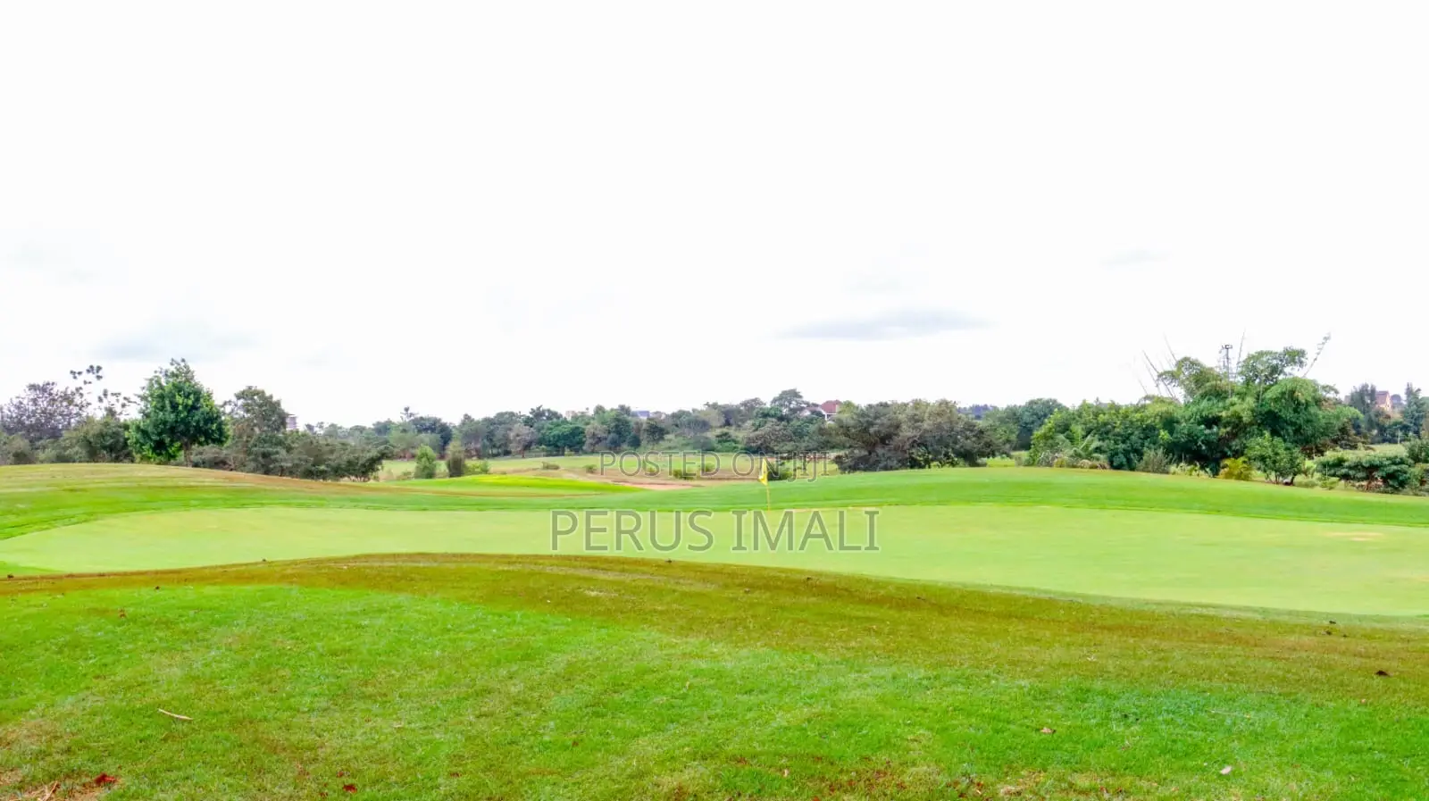 Thika Greens in Thika