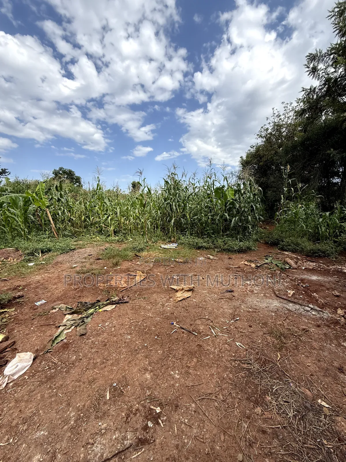 1/8 Acre Plot for Sale in Gatuto Town, Kutus. in Thiba