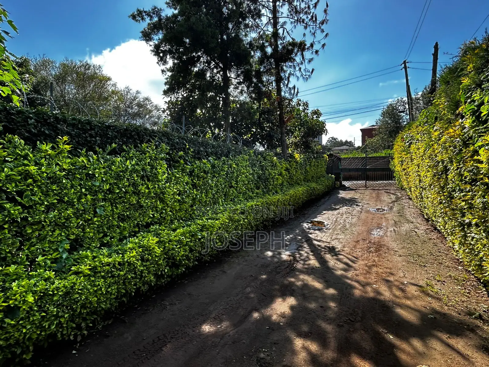 3bdrm Bungalow in Thogoto Gikambura for sale in Thogoto