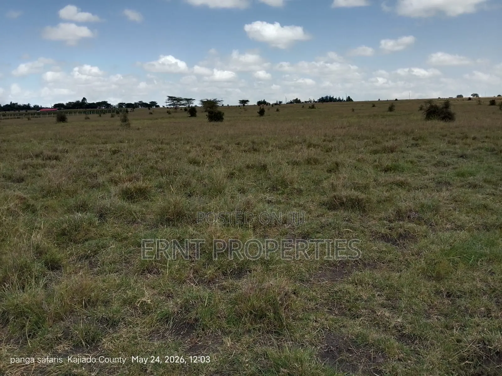 Quick Sale Alert. 2 Adjacent Quarter Acre Plots at KSH Each in Isinya