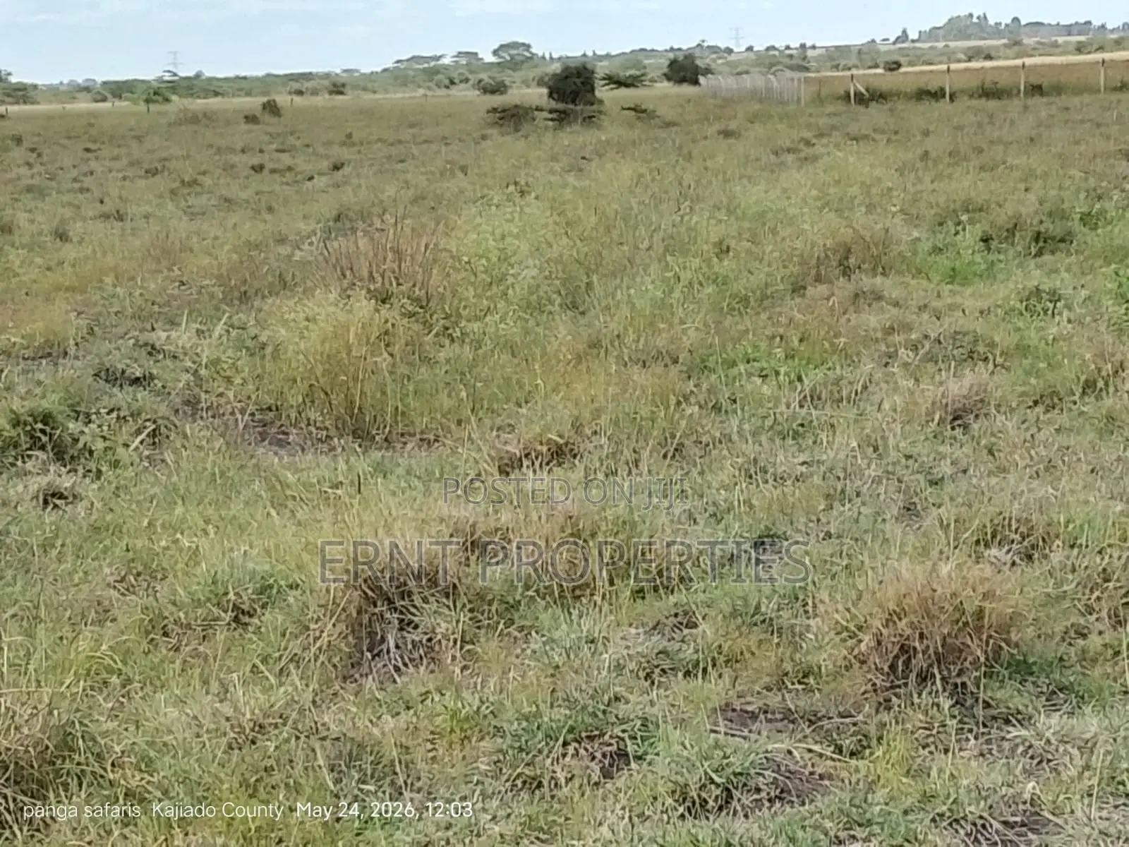 Quick Sale Alert. 2 Adjacent Quarter Acre Plots at KSH Each in Isinya