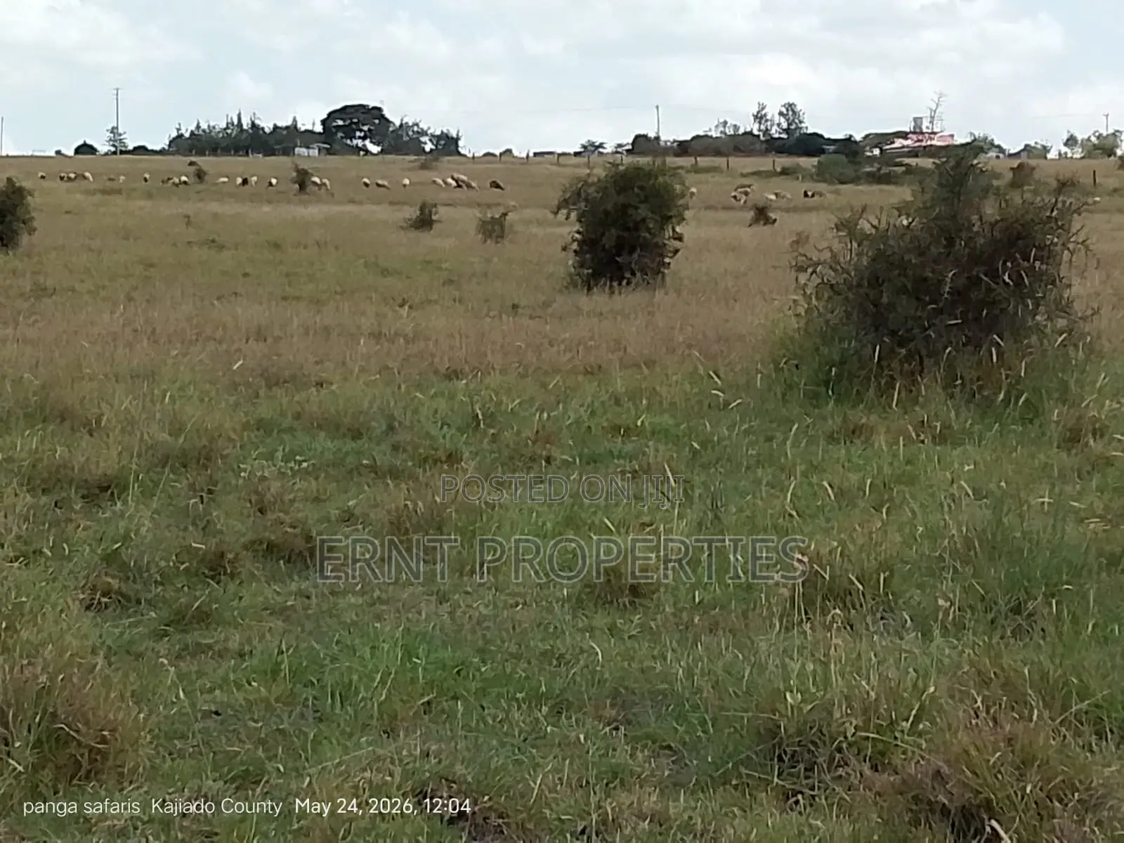 Quick Sale Alert. 2 Adjacent Quarter Acre Plots at KSH Each in Isinya