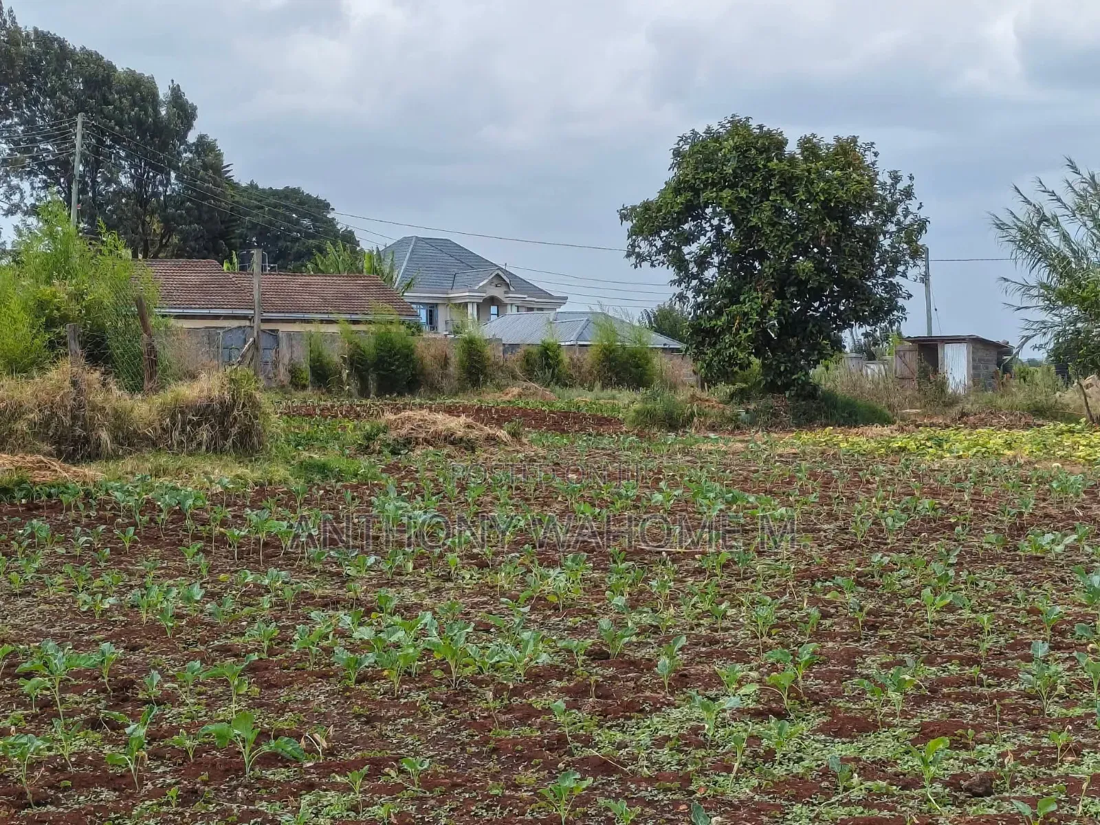 Redhill 1/2acre Residential Plot 400 Metres From Kabuku Tarmac Rd in Ngecha