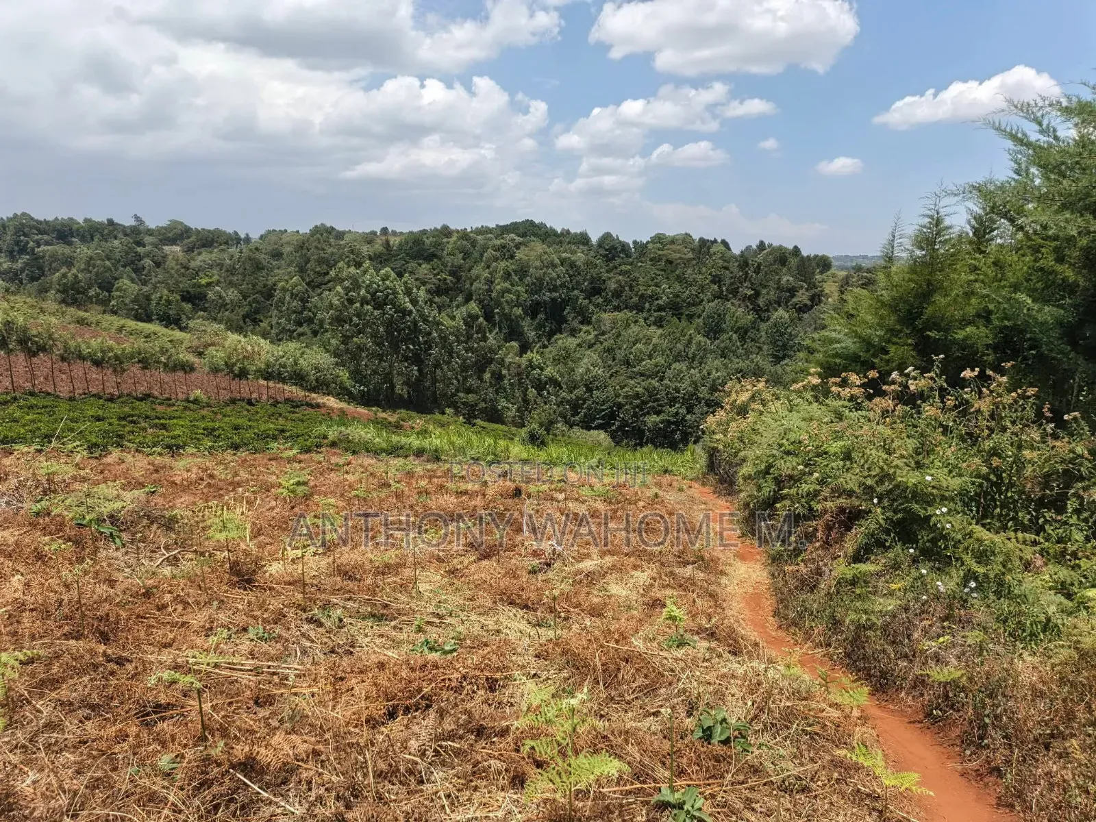 Redhill 1/2acre Residential Plot 400 Metres From Kabuku Tarmac Rd in Ngecha