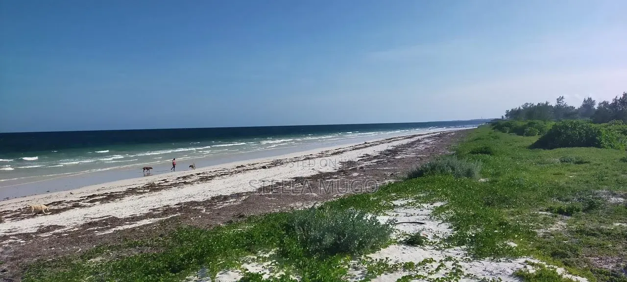 Prime Land Bofa Beachfront Whitesand in Mtwapa