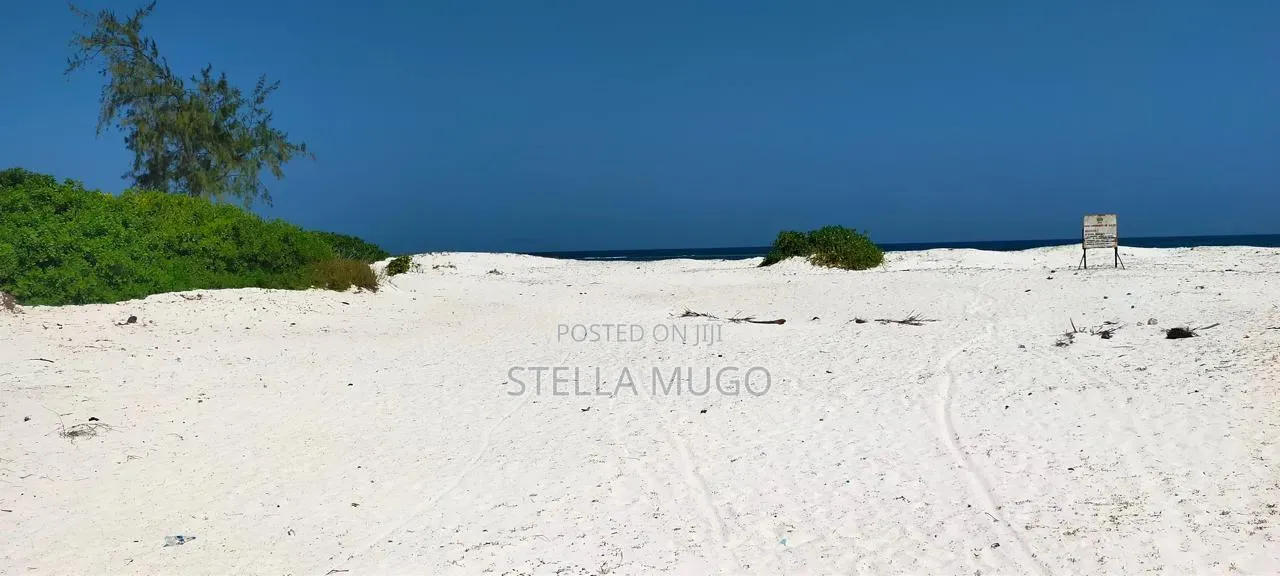Prime Land Bofa Beachfront Whitesand in Mtwapa