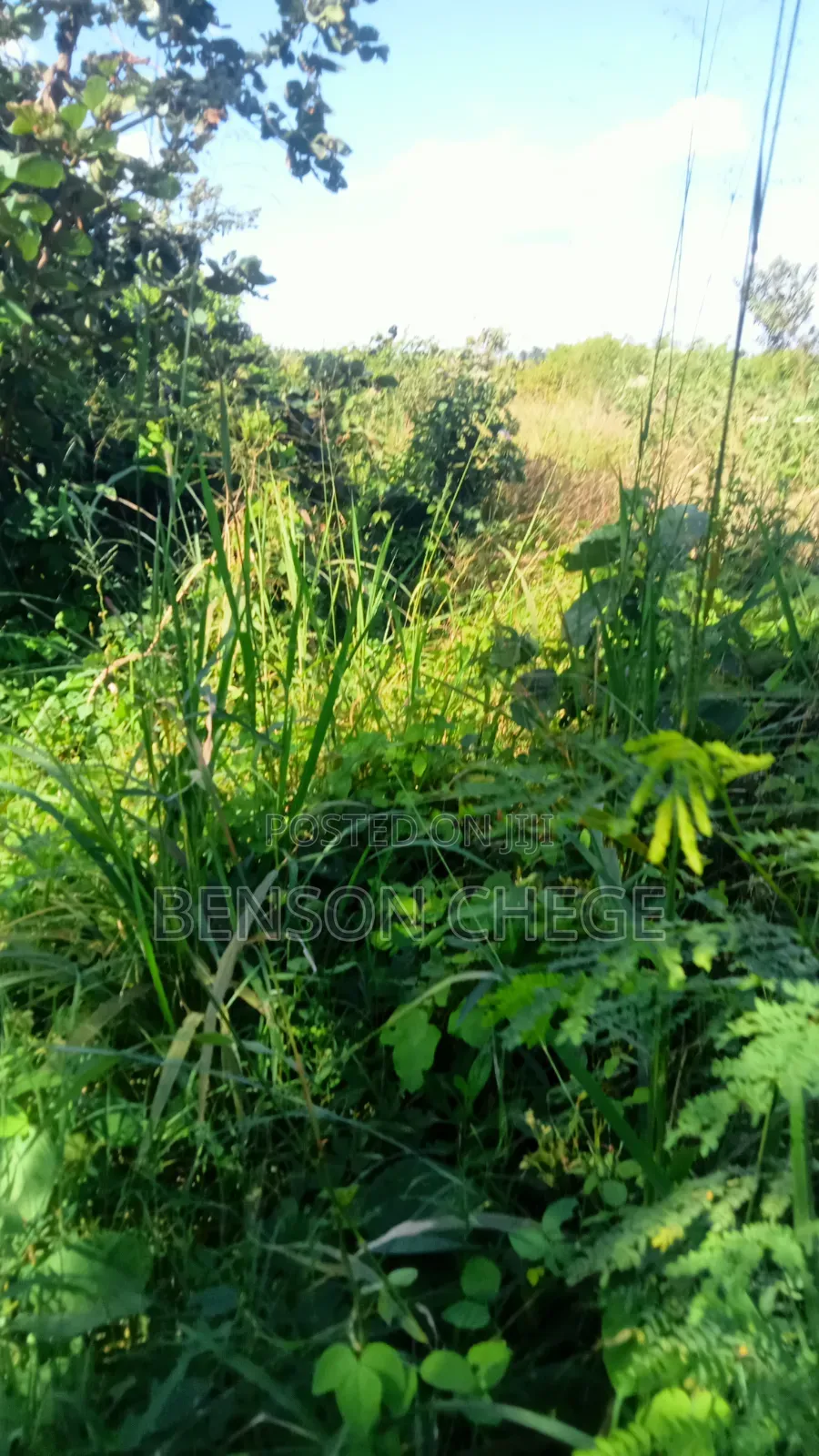 4 Acre Land in Loc20 Mirira in Mbiri