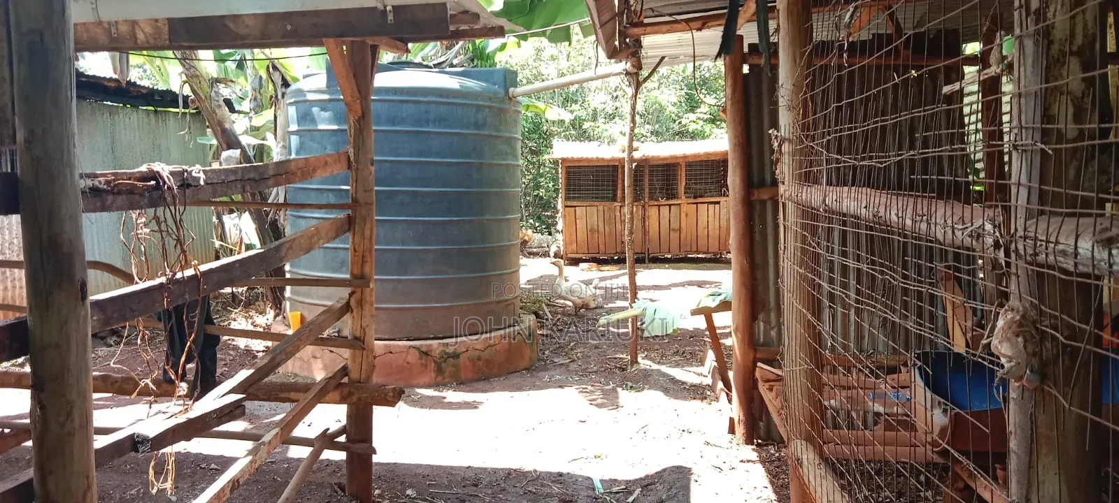 One Acre Land in Muranga Maragua With Mature Hass Ovacados Trees. in Mugumo-Ini