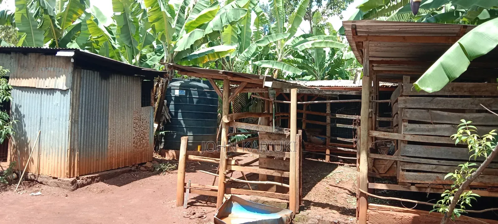 One Acre Land in Muranga Maragua With Mature Hass Ovacados Trees. in Mugumo-Ini