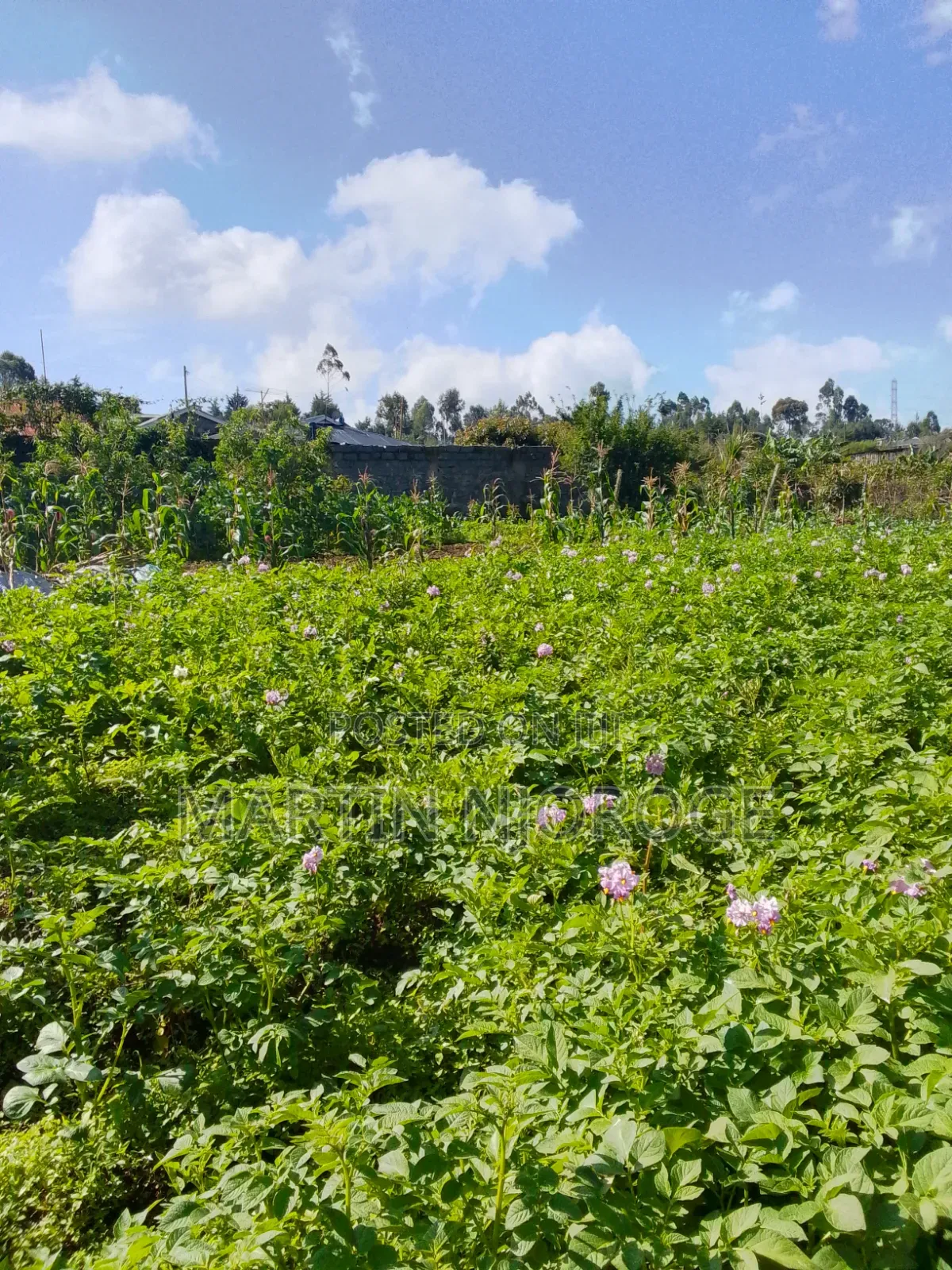 2 Acres Githirioni in Lari/Kirenga
