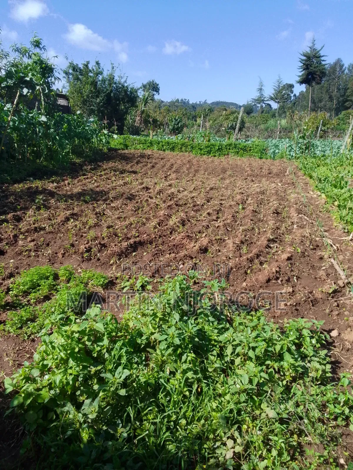 2 Acres Githirioni in Lari/Kirenga