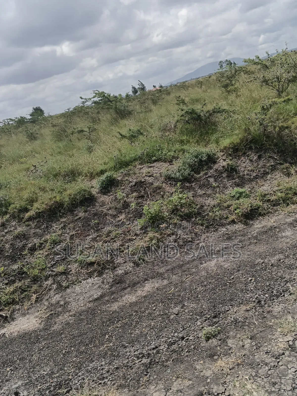 Several Parcels in Kajiado in Lukenya