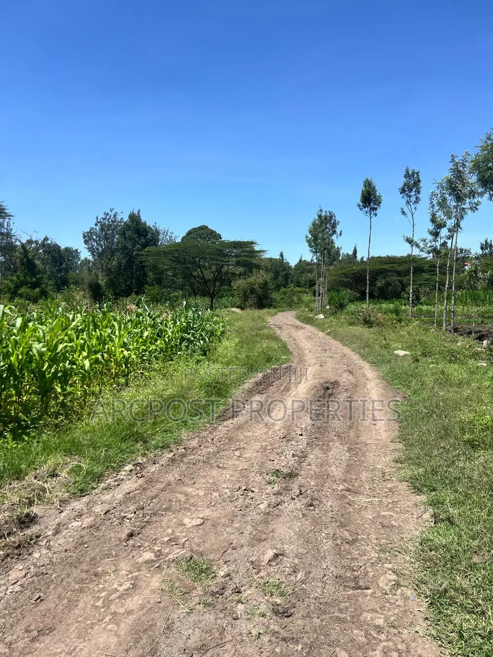 Prime 50x100 Plots for Sale in Kandisi Near Rimpa Kandisi Road in Kandisi