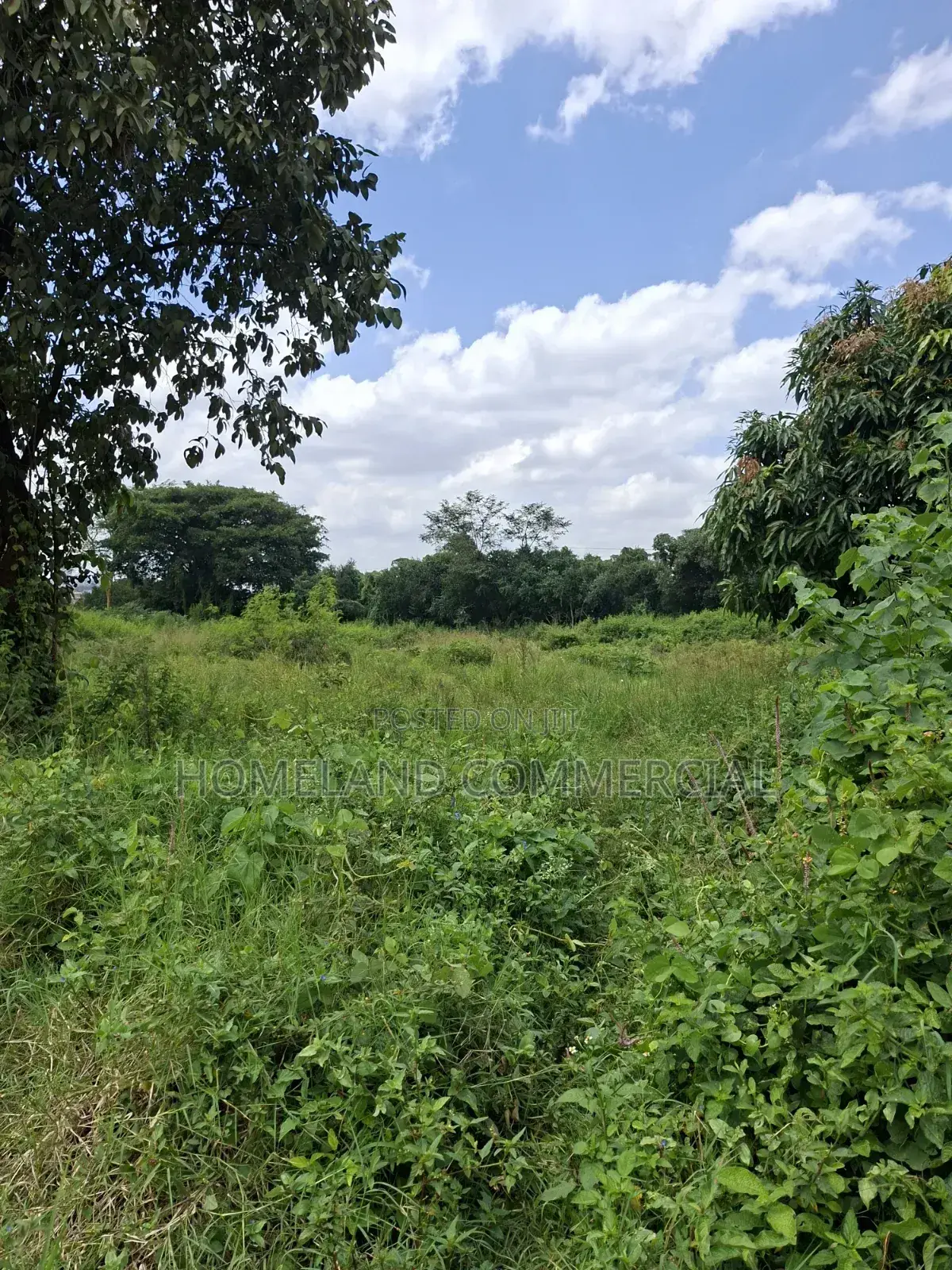 1 Acre Land for Sale in Langata in Southlands Estate