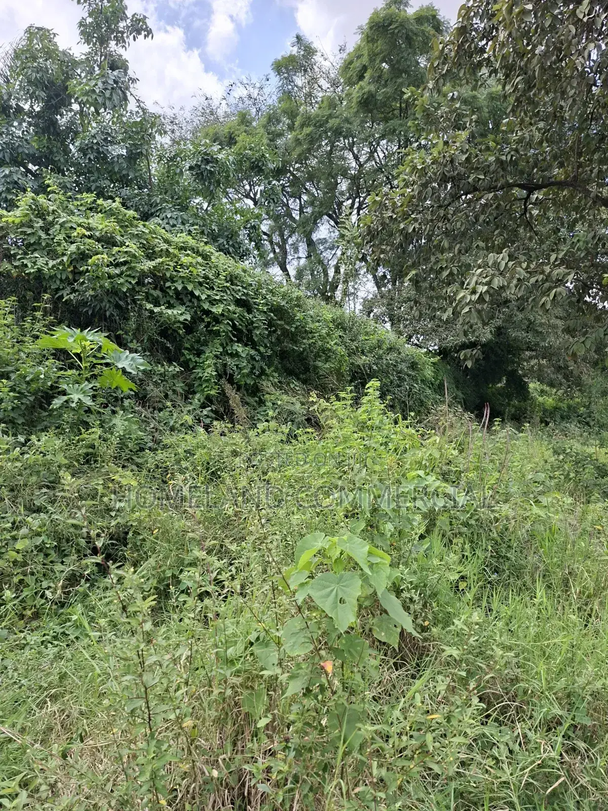 1 Acre Land for Sale in Langata in Southlands Estate