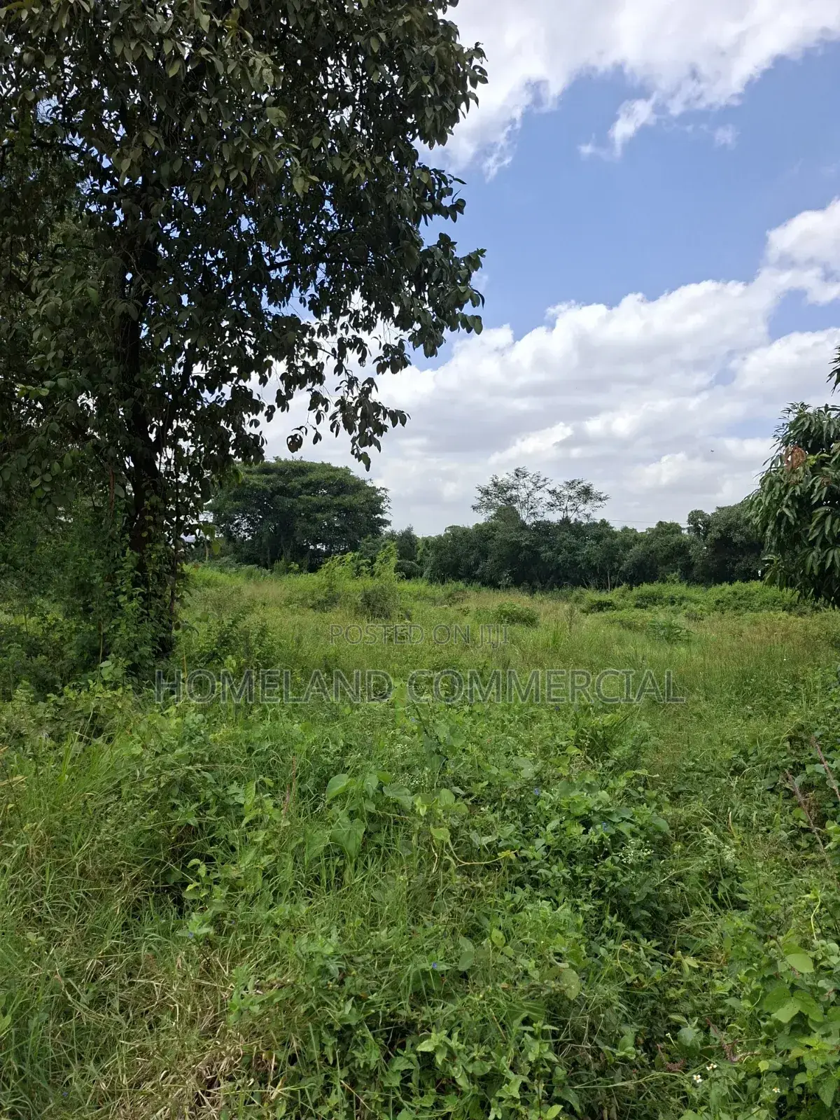 1 Acre Land for Sale in Langata in Southlands Estate