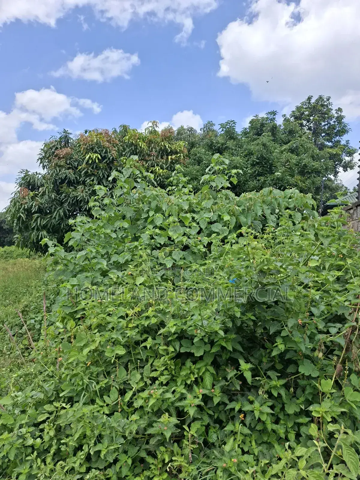 1 Acre Land for Sale in Langata in Southlands Estate