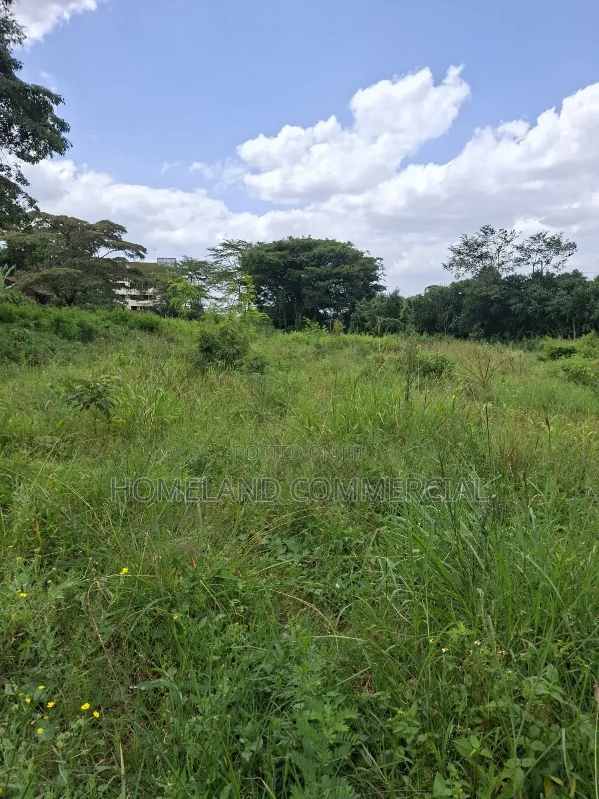 1 Acre Land for Sale in Langata in Southlands Estate