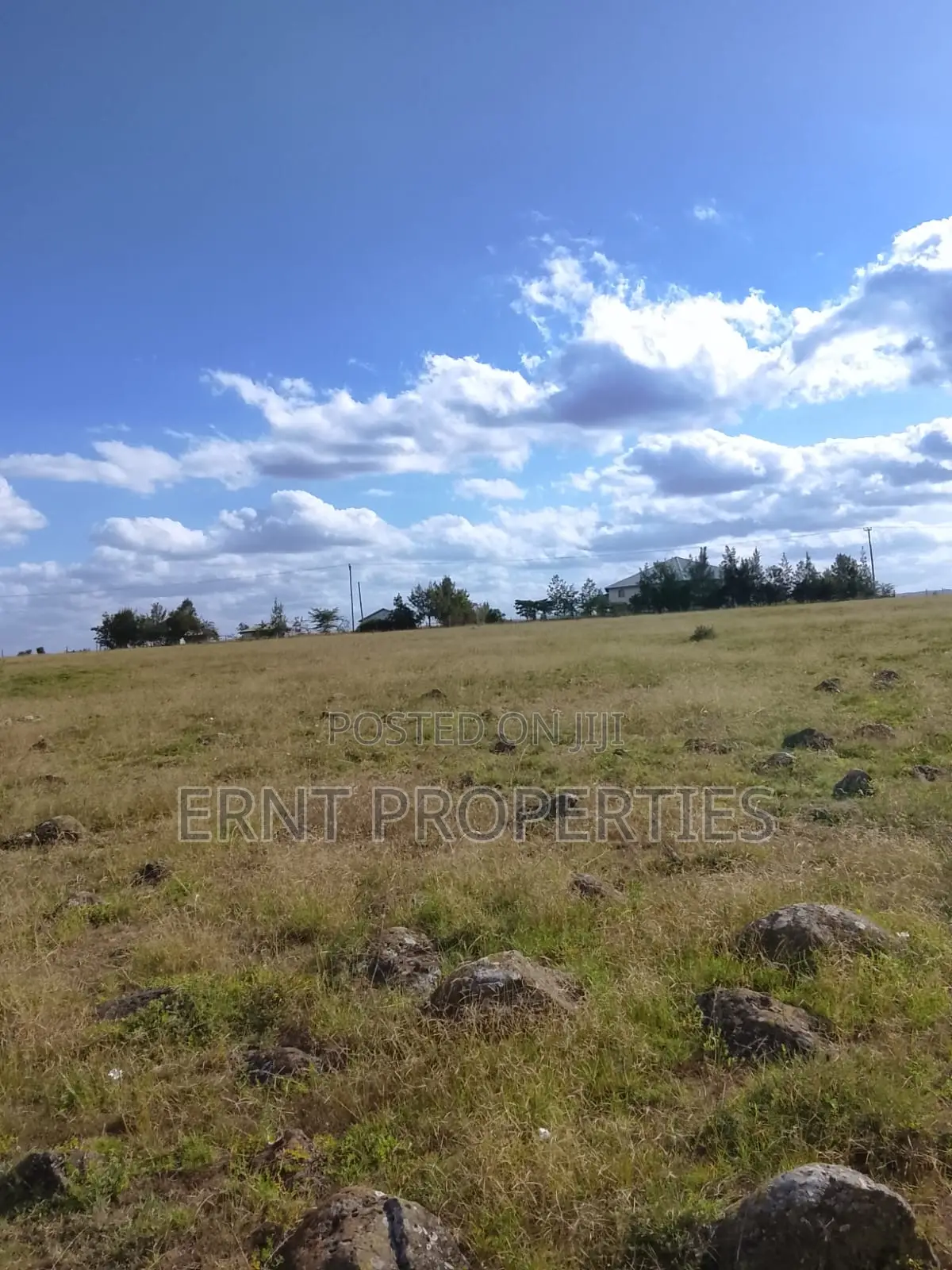 Quick Sale. Two Quarter Acre Plots Near Santoki at KSH in Isinya