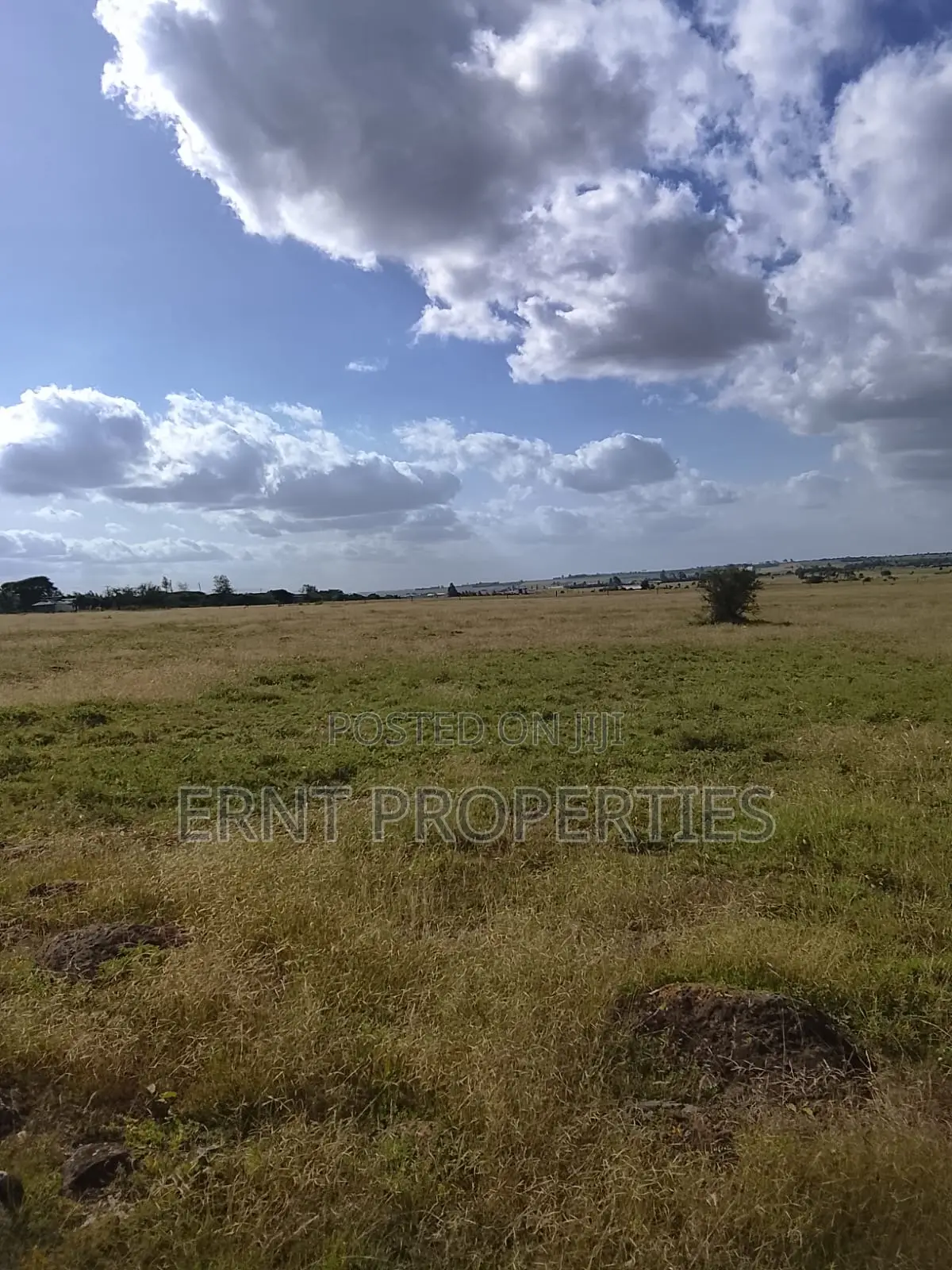 Quick Sale. Two Quarter Acre Plots Near Santoki at KSH in Isinya