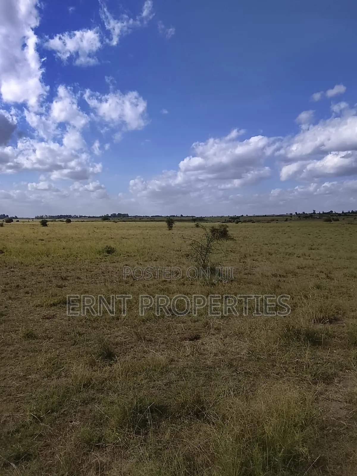 Quick Sale. Two Quarter Acre Plots Near Santoki at KSH in Isinya