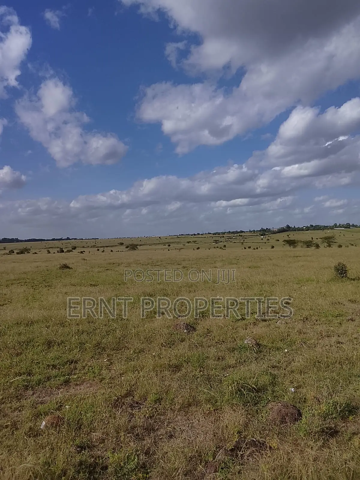 Quick Sale. Two Quarter Acre Plots Near Santoki at KSH in Isinya