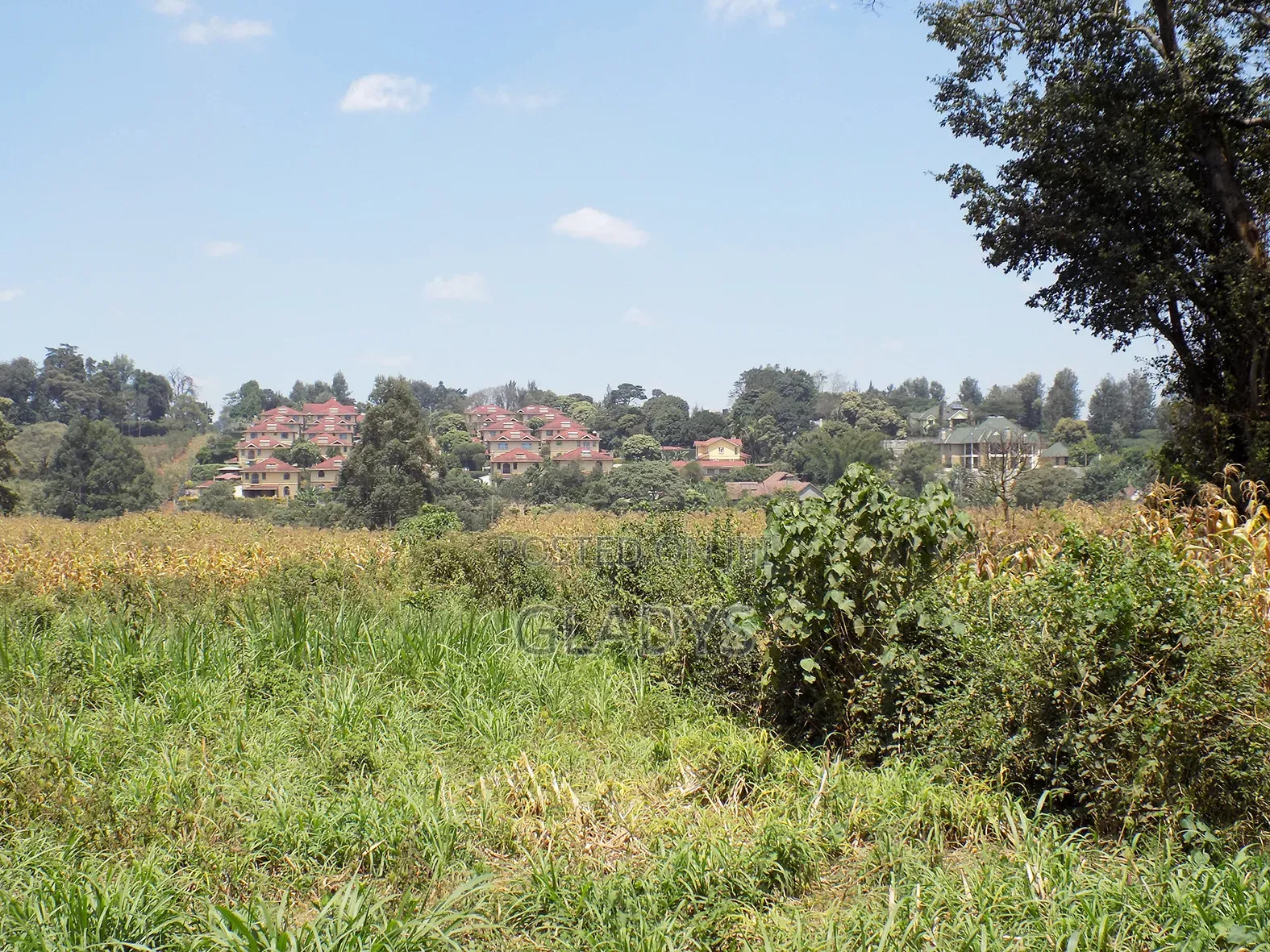 4acres of Land in Kitisuru West Along Kinanda Road in Kitisuru