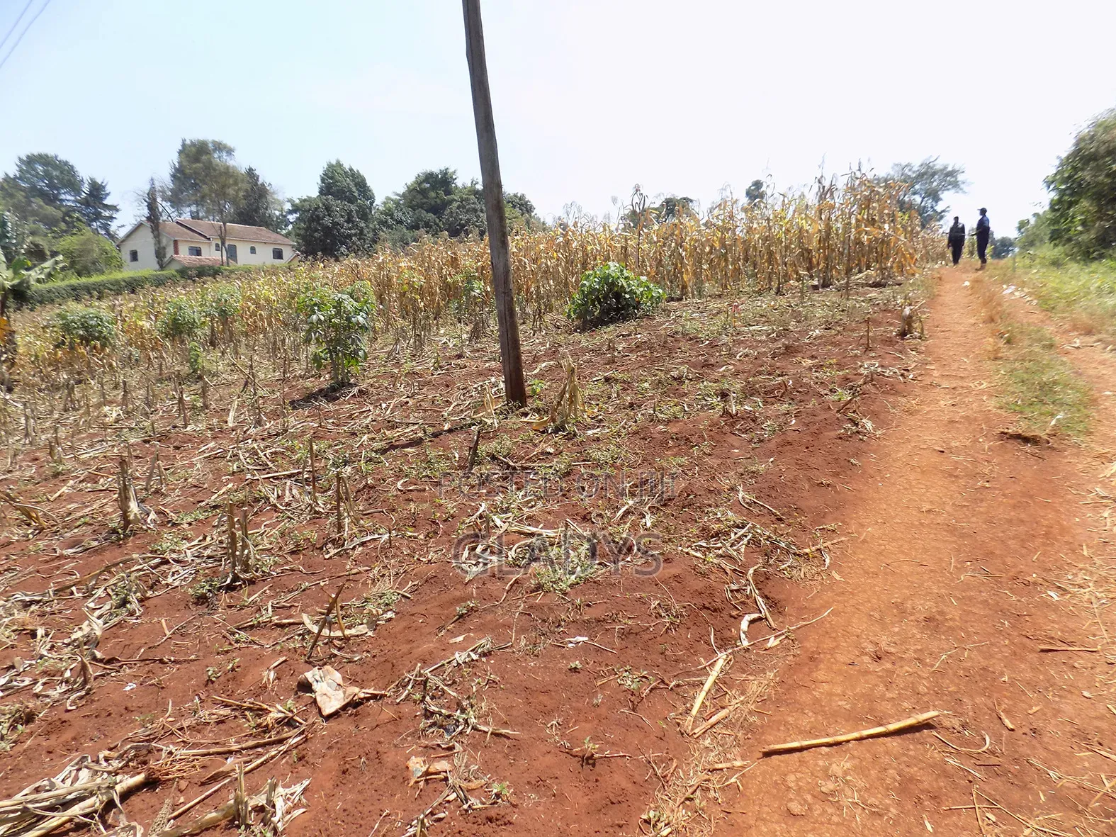 4acres of Land in Kitisuru West Along Kinanda Road in Kitisuru