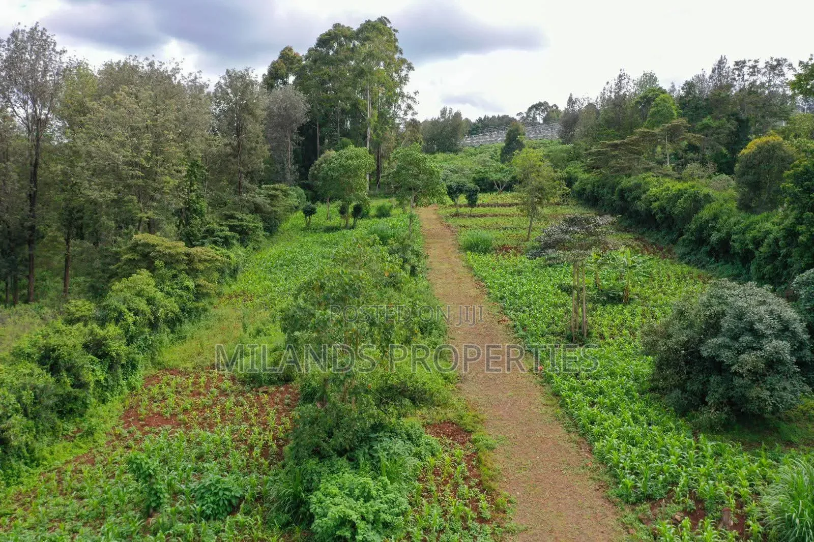 Land for Sale Ngong in Ngong CBD
