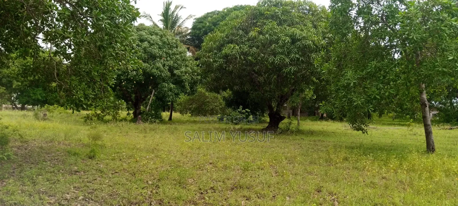 Land on Sale Ng'ombeni 4 Acres 1,9m Per Acre in Waa