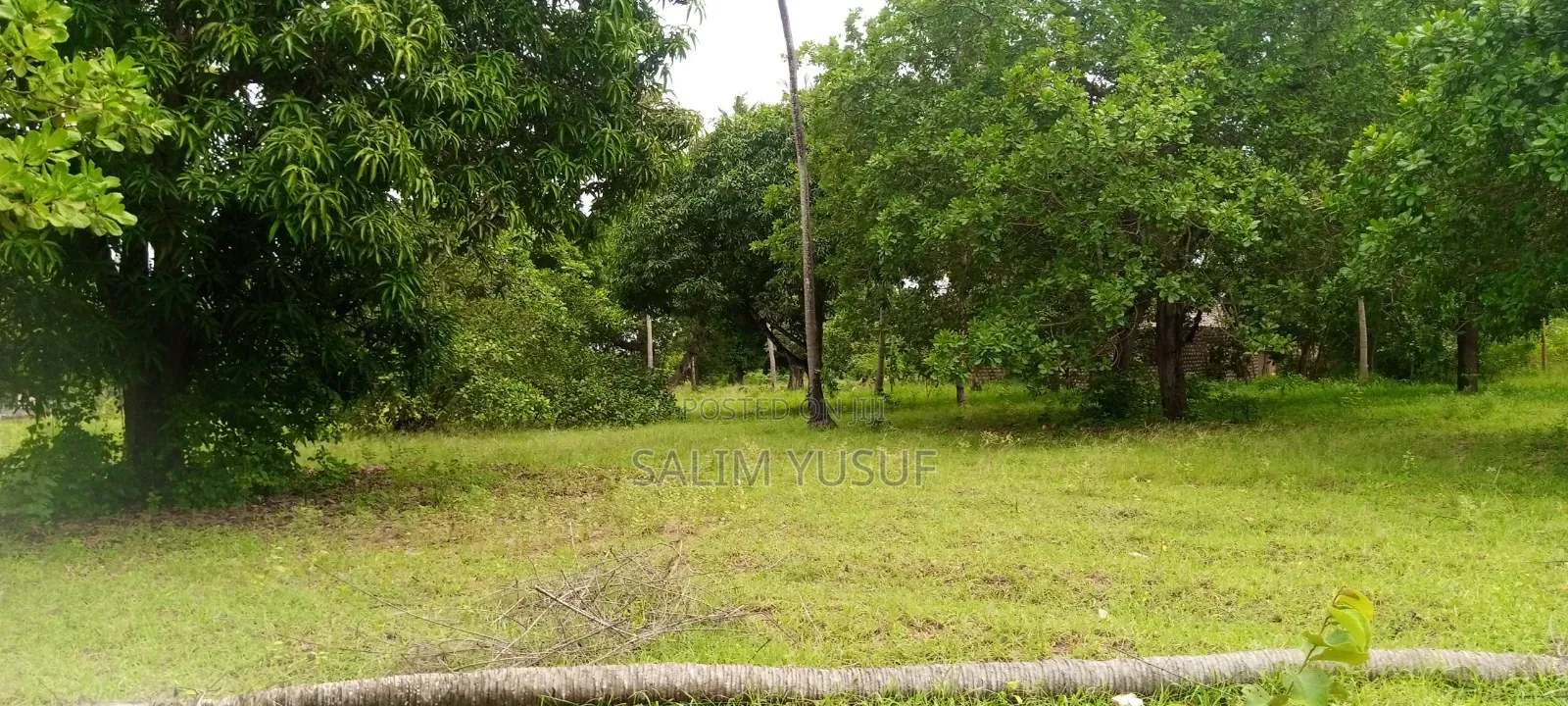 Land on Sale Ng'ombeni 4 Acres 1,9m Per Acre in Waa